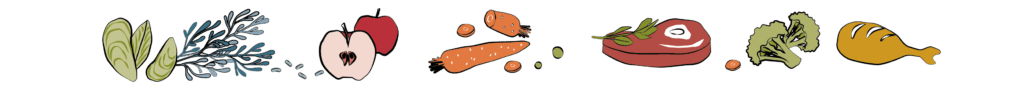 meat and vegetables banner